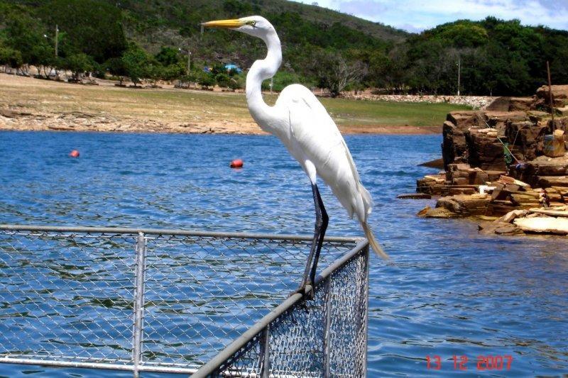 Pousada Araras Lago De Furnas Sao Jose da Barra Ngoại thất bức ảnh